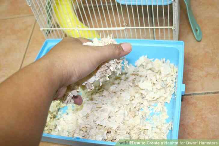 Image intitulée Créer un Habitat pour les Hamsters Nains Étape 2